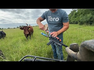 No More Chutes! Easy Fly Control for Cattle with this Tool