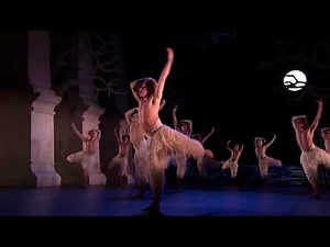 Matthew Bourne΄s Swan Lake, 2012 - swan dance - short