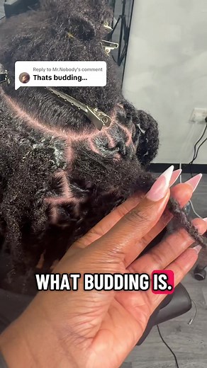 Understanding the Budding Phase of Locs