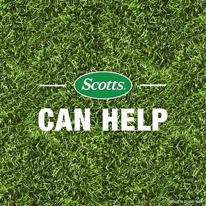 ​Find ​​the ​​right ​​lawn ​​repair ​​for ​​thicker, ​​greener ​​grass ​​next ​​spring​. | The Home Depot