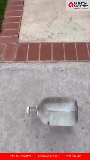 Presenting the biggest drop of the year - FREE SHOPPING WEEK! 💥 Shop for ₹5000, Pay only ₹2000 and get that ALSO back! Only at FREE Shopping Week! Offer Date: 3rd to 7th Dec Preview Date: 29th Nov to 2nd Dec Fashion 365 Days | 20-70% Discounts | Best Brands #FashionFactory #BestDeals #BestBrands #Deals #Discounts #BrandsForLess #VIPAccess #MissedCall #SaveBig #FashionDeals #EarlyAccess #Free #FreeShoppingWeek #FSW | Fashion Factory