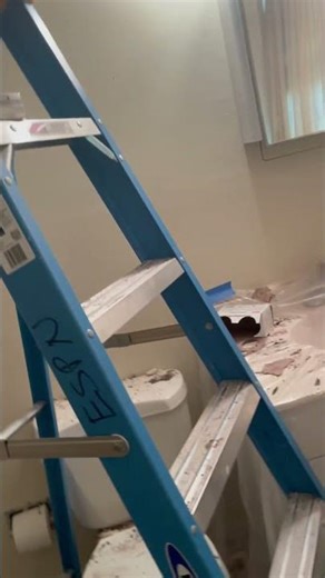 7 de octubre de 2025