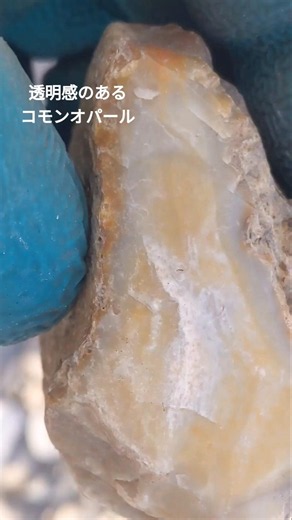 透明感のあるコモンオパール #rockhounding #石拾い #蛋白石 #riverside