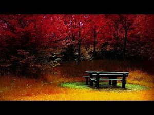 George Winston Autumn ~ Woods (ΗD)