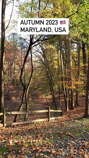 Autumn 2023 - Maryland, USA #Maryland #USA #autumn2023 #reels2023 #goodvibes | Alvin Dave Monticarlo