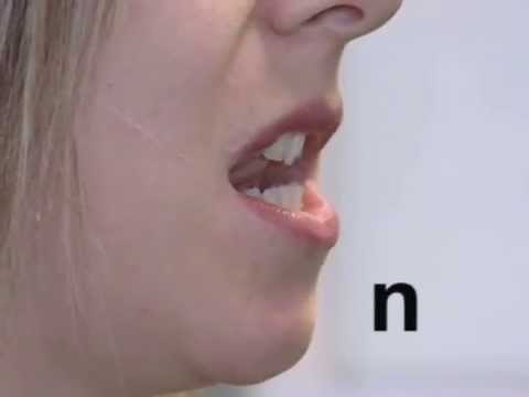 Articulation of all phonemes