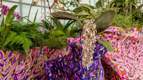 The Weekend Scene: Warehouse Sale, ice cream for breakfast and more things to do in the DC area