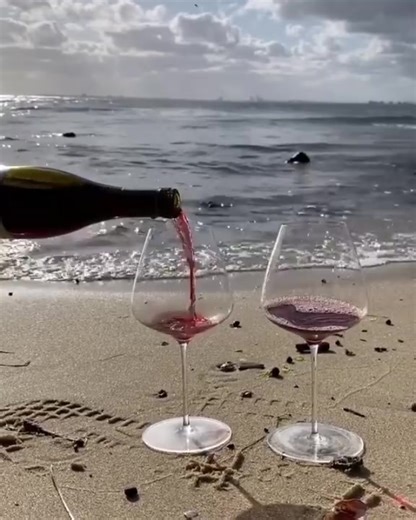 Ultimate Beach Party Guide: Wine, Sun, and Fun!