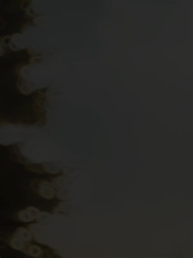 NINJA SNITCH #fypシ゚ #fypviralシ #warzoneclips #warzonebo6 #warzone