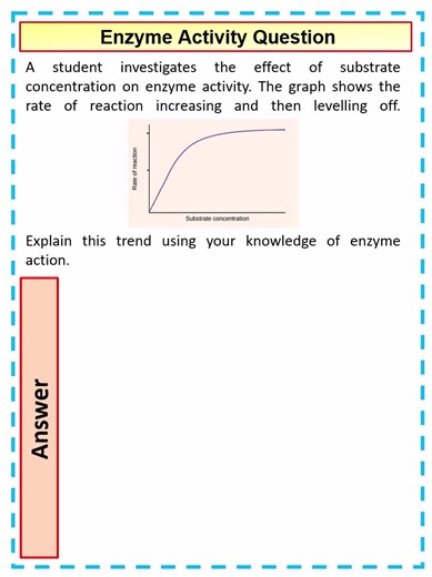 How to Answer a 4 mark A Level Biology Question on Enzyme Activity