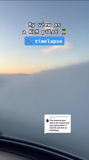 Pilot POV: Landing in Clear or Misty Skies with KLM Royal Dutch Airlines 🛬