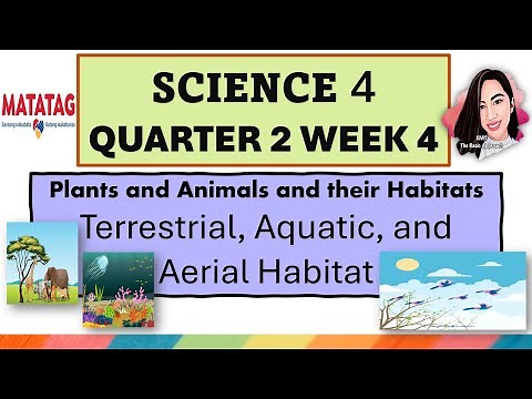 SCIENCE 4 QUARTER 2 WEEK 4 HABITATS OF PLANTS AND ANIMALS MATATAG CURRICULUM #science4quarter2week4