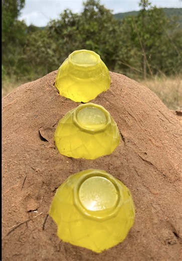 Essential Survival Skills for Outdoor Enthusiasts