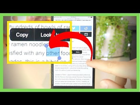 How to Copy and Paste on iPhone/ iPad 🥇 [BEST METHOD!]
