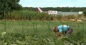 One Japanese farmer's long airport protest