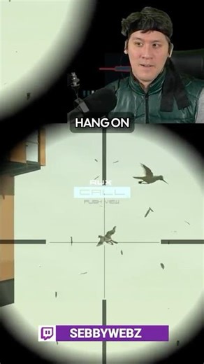 Why You Don't Shoot Seagulls With A Rocket Launcher