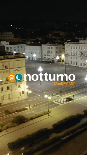 Trieste Trasporti on Instagram: "Muoversi a Trieste, anche di notte 🌙🚍 C’è chi torna da una cena, chi esce dal cinema o dal teatro, e chi va a una festa. Qualunque sia la tua serata, Notturno TSonDemand ti accompagna di notte a Trieste, ogni venerdì e sabato dalle 22:00 alle 4:00 (nel periodo invernale anche di mercoledì). #Notturno #Tsondemand #autobusachiamata #tplfvg #triestetrasporti #trieste #friuliveneziagiulia"