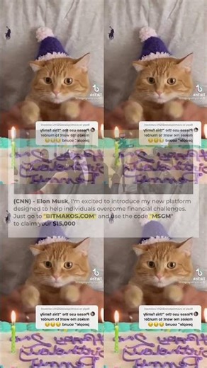 Cat Memes That Make You Cry Laughing 😂 273s