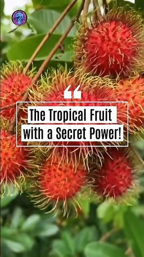 The Tropical Fruit with a Secret Power! : Rambutan 🍃🍂 Fruit Facts