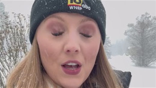 Snow in Monroe County