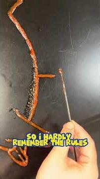 Pokémon Ketchup Painting #90: Shellder! #pokemon #pokemonart #shellder #ketchup #autism