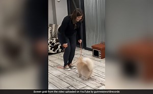 Watch: Cat Sets Guinness World Record With Jump-Roping Feat