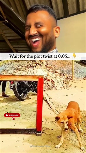 You’ll Laugh Instantly 😂 | Pet Fails Compilation #shorts #petfails