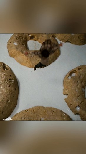 🔬😮 Microscope Miracle_ The Mini Kids | Pineapple Detective