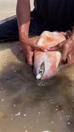 Something ALIVE Hiding Inside This?! 😱 | Amazing Discovery