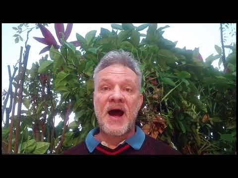 Jorge Rodríguez joins MAGA . nvor 1241