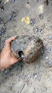 There's something strange inside 😲😱!! | Ninang Jing