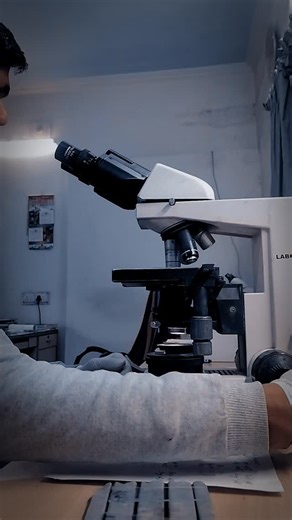 Divyansh Kushwaha on Instagram: "Semen analysis under microscope . . . Sample requirements . Abstinence period: 2–7 days Collect by masturbation; analyze within 1 hour Complete liquefaction in