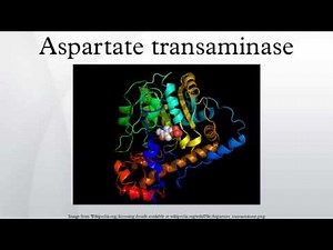 Aspartate transaminase