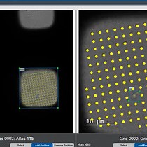 Video: User-friendly, High-throughput, and Fully Automated Data Acquisition Software for Single-particle Cryo-electron Microscopy