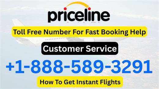 How to Reach Priceline Customer Service & Talk to a Real Person