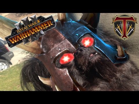 Double Elimintion | 2 Faction Tournament - Total War Warhammer Competitive