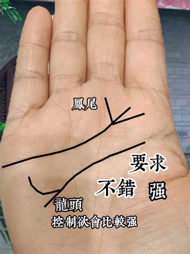Exploring Traditional Palmistry and Chinese Culture