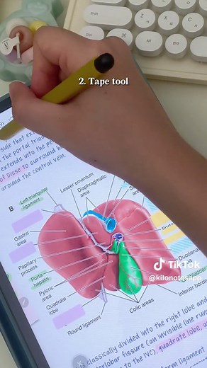 Learning these 5 simple #kilonotes tips can be very helpful for your exams. 📝 Do you know the last one? 👀 #studyhacks #studynotes #bestnotesapp #studyapps #studytok #studytips #medstudents #aesthetic