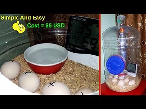 DIY - Hatching Egg Incubator Simple And Easy || Homemade Incubator