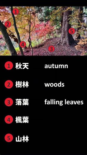 📷 Learn five words with one picture 📸 生活一張圖，學五個字 #957｜