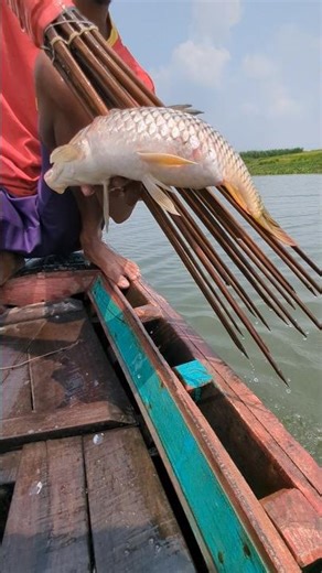 Amazing Village Boat Fishing 🎣 | Real River Catch | #shorts #fishing #fishingvideo #villagelife #yt