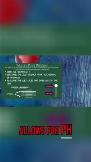 Cell Membrane: Homeostasis, Nutrients & Cell Signals #shorts