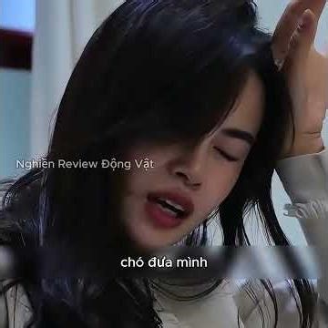 The dog was wrongly accused, but it was still willing to help others.