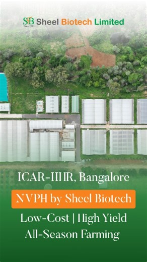 Sheel Biotech Ltd on Instagram: "Naturally Ventilated Polyhouse (NVPH) Developed at ICAR-IIHR, Bangalore by Sheel Biotech Ltd. A future-forward solution for sustainable, profitable farming Why NVPH? ✔️ Low-cost setup vs. fan-pad systems ✔️ Higher yield & better crop quality ✔️ Fewer pests & diseases ✔️ Year-round cultivation ✔️ Works across Indian climates What You Can Grow: - Vegetables: Capsicum, Cucumber, Tomato, Leafy Greens - Fruits: Strawberry, Dragon Fruit (potted), Exotic Berries - Flowe