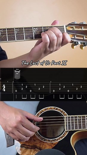 The Last of Us Part II - Helplessly Hoping by Joel #guitar #guitarlesson #guitartutorial #guitarra
