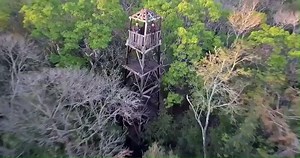 El impacto ambiental que tendría el Tren Maya es indefendible. | Jorge Álvarez Máynez