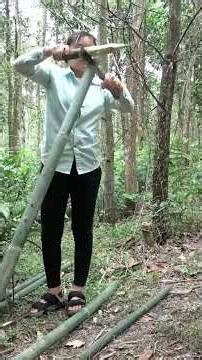 Bushcraft Survival Trip | Building a Permanent Bamboo Shelter