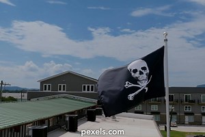 Skull Crossbones Videos, Download The BEST Free 4k Stock Video Footage & Skull Crossbones HD Video Clips