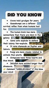 254K views · 3.1K reactions | Mind-Blowing Science Facts You Won’t Believe! #facts | Did You Know Facts By OFS | Facebook