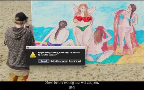 我看到的魔灯软件MLVApp最详细讲解 机翻双语